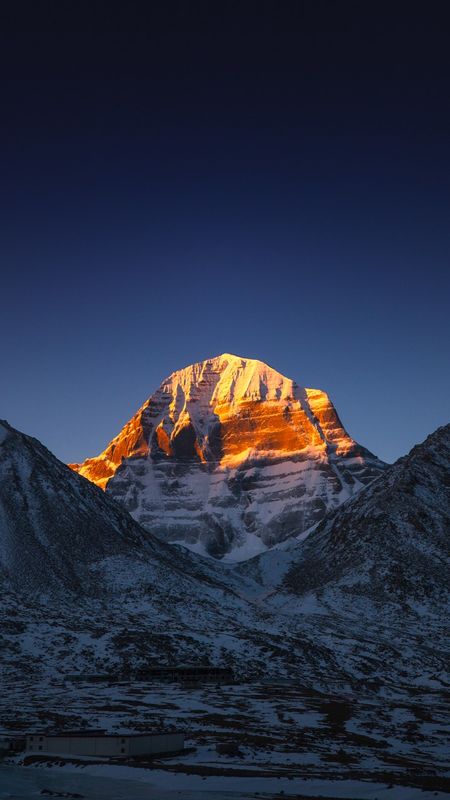 नीटू मावी