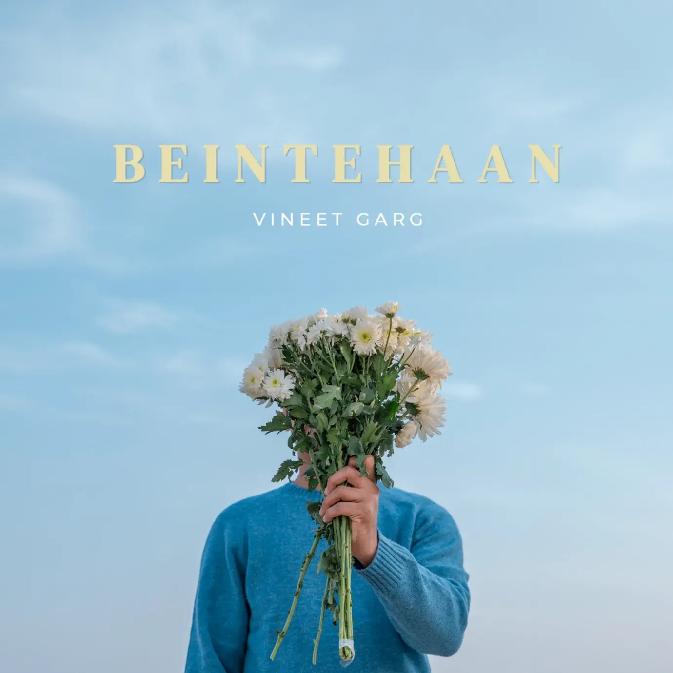 Vineet Garg